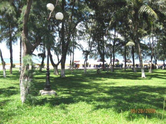 Picture017.jpg