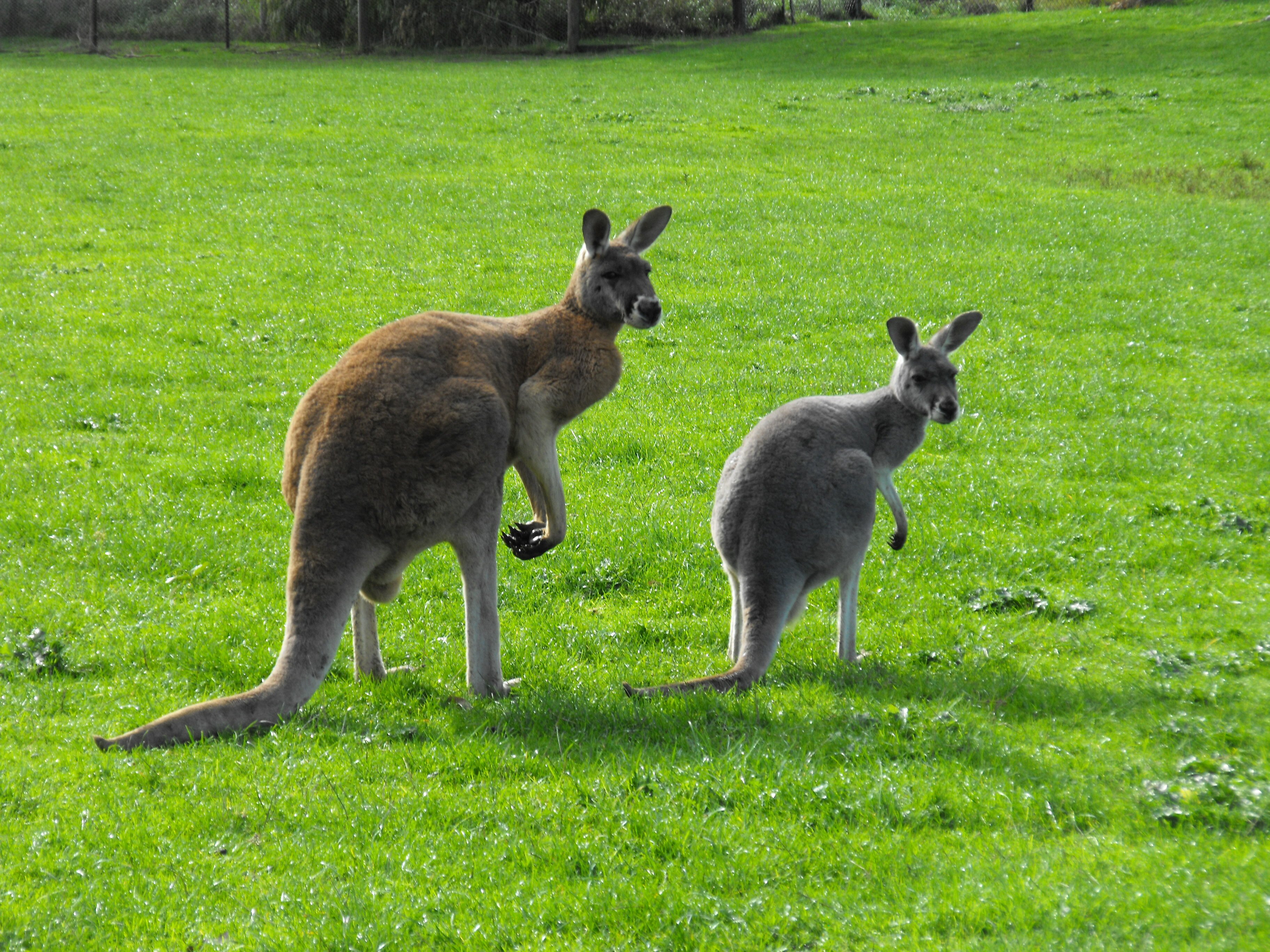 From Fujifilm Camera 083.jpg