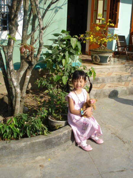 CÂY MAI (450 x 600).jpg